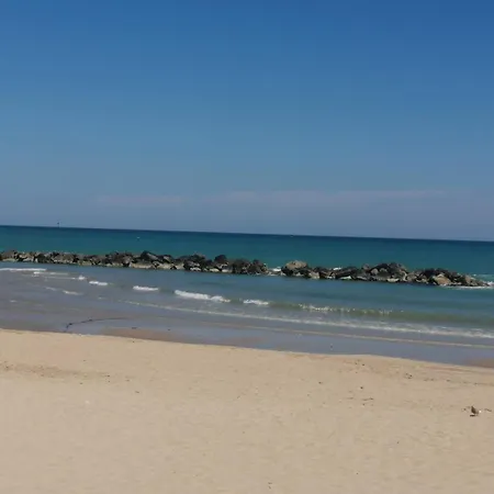 Damadimare Montesilvano Marina