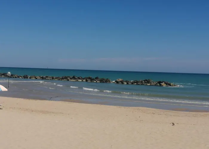 Damadimare Montesilvano Marina